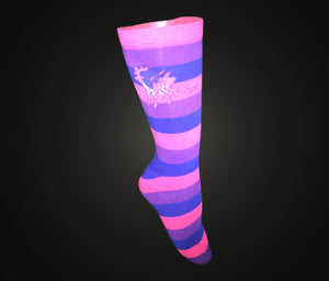 Bisexual Unicorn socks