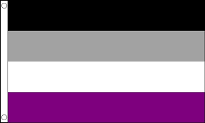 Asexual flag, large