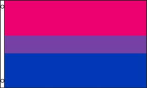 BiSexual Flag, large
