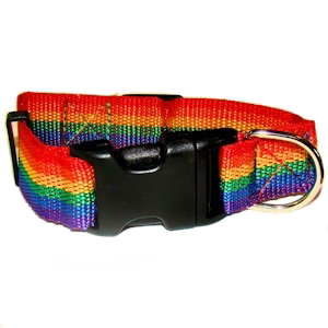 Pet Collar