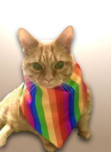 PET BANDANA