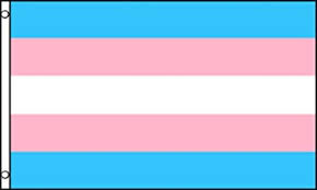 Trans Flag, large